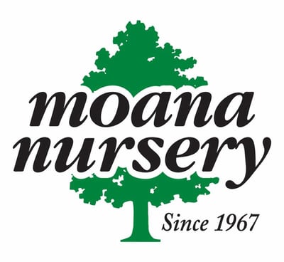 Moana Nursery case study about increasing profits with landscape business software.
