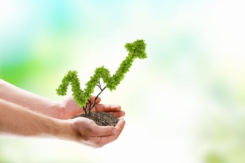 hands holding plant representing landscaping profit growth