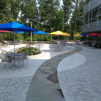 davis landscape project