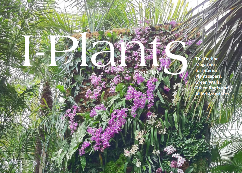 I Plants Magazine cover shots