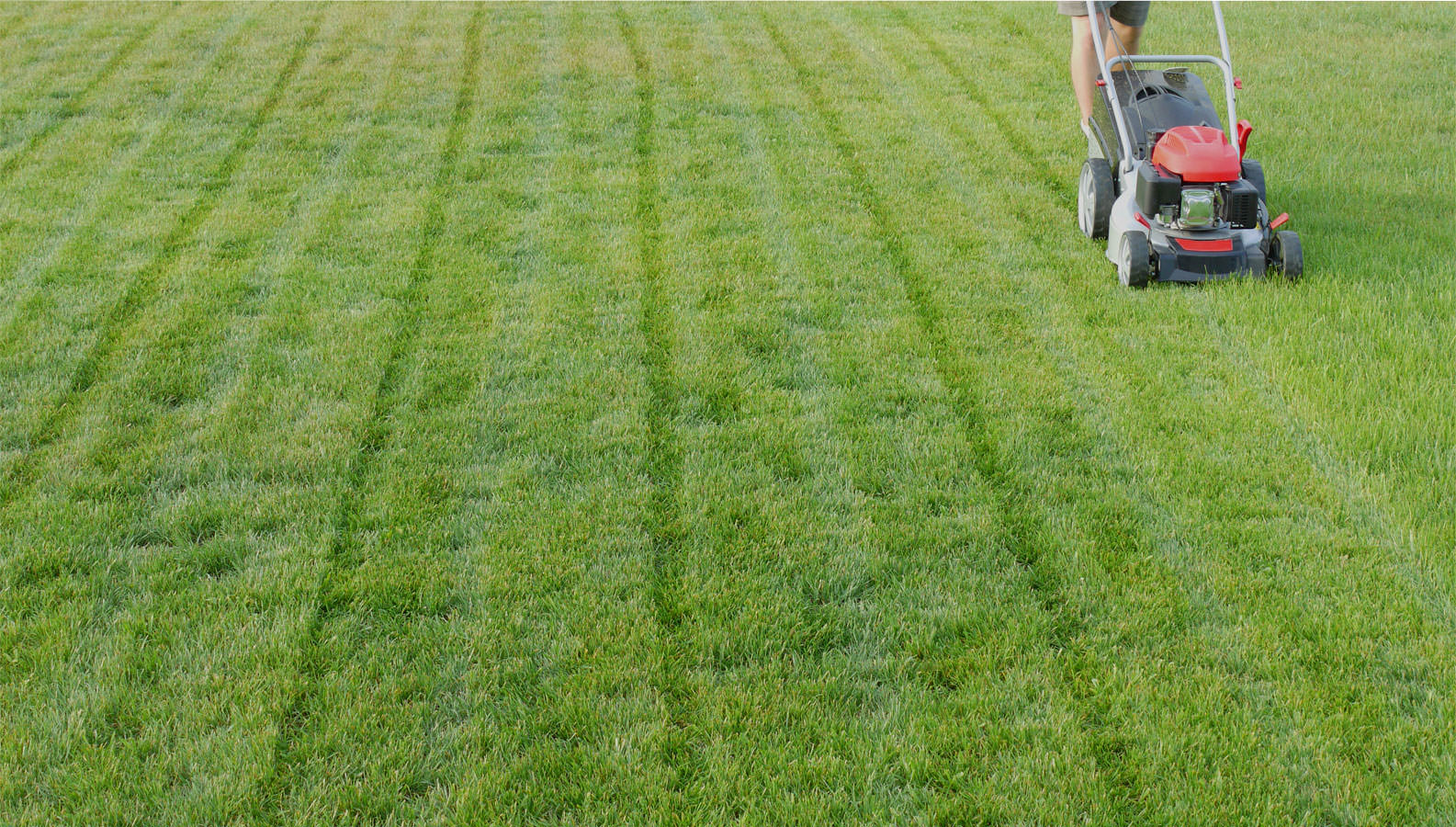 small red push mower mowing grass